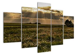 Moderní obraz přírody (150x105cm)