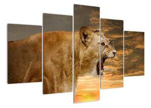 Obraz řvoucího lva (150x105cm)