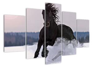 Obraz koně ve sněhu (150x105cm)