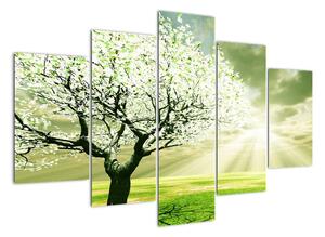 Jarní strom - moderní obraz (150x105cm)