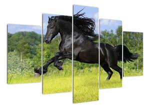 Obraz koně (150x105cm)