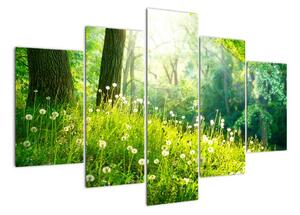 Moderní obrazy přírody (150x105cm)