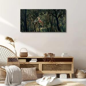 Obraz na plátně Obraz na plátně Zmírný les