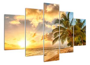 Obraz palmy na písečné pláži (150x105cm)