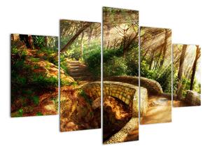 Obraz lesní cesty (150x105cm)