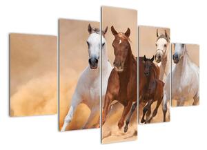 Obrazy běžících koní (150x105cm)