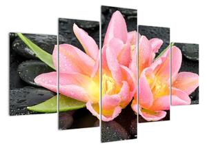 Obraz květů (150x105cm)
