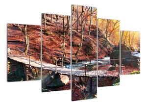 Obraz mostu - podzimní cesta lesem (150x105cm)