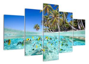 Obraz tropického moře (150x105cm)