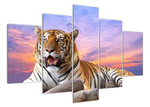 Obraz ležícího tygra (150x105cm)