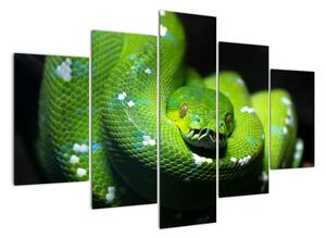 Obraz zvířat - had (150x105cm)