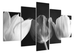 Černobílý obraz - tři tulipány (150x105cm)