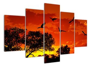 Obraz zapadajícího slunce s ptáky (150x105cm)
