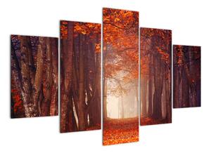 Podzimní les - obraz (150x105cm)