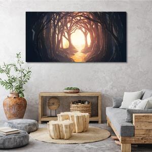 Obraz na plátně Obraz na plátně les