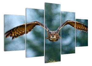 Obraz letící sovy (150x105cm)