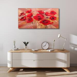 Obraz na plátně Obraz na plátně Červené květy mák