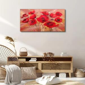 Obraz na plátně Obraz na plátně Červené květy mák