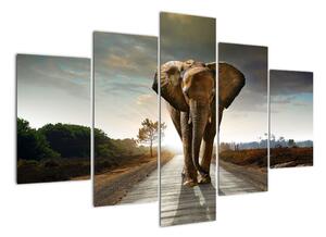 Obraz kráčejícího slona (150x105cm)