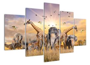 Obraz - safari (150x105cm)