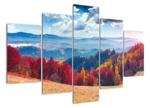 Obraz podzimní přírody (150x105cm)