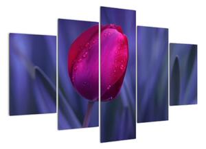 Obraz - tulipán (150x105cm)