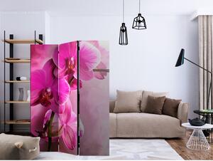 Paraván orchidej růžová Velikost (šířka x výška): 135x172 cm