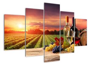 Obraz - víno a vinice při západu slunce (150x105cm)