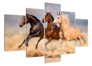 Moderní obraz koní (150x105cm)