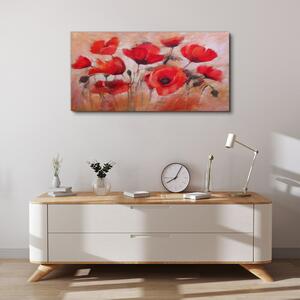 Obraz na plátně Obraz na plátně Malba maki květiny