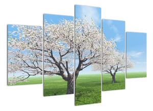 Obraz kvetoucího stromu na jarní louce (150x105cm)