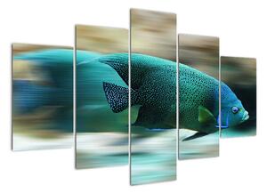 Obraz na stenu - ryby (150x105cm)