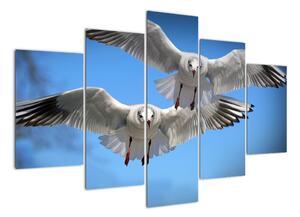 Obraz do bytu - ptáci (150x105cm)