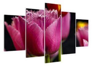 Tulipány - obrazy (150x105cm)