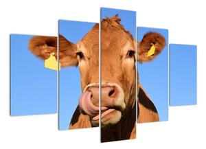 Obraz krávy (150x105cm)