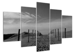 Obraz - cesta v písku (150x105cm)