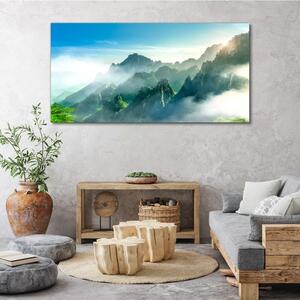 Obraz na plátně Obraz na plátně Horské stromy nebe