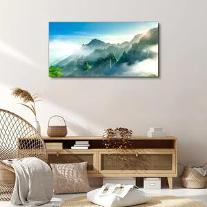 Obraz na plátně Obraz na plátně Horské stromy nebe