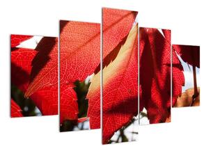 Obraz červených listů (150x105cm)