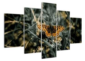Obraz motýla (150x105cm)