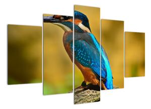Obraz - barevný pták (150x105cm)