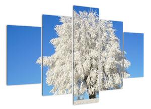 Zasněžený strom - obraz (150x105cm)