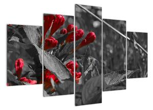 Červené květy - moderní obrazy (150x105cm)