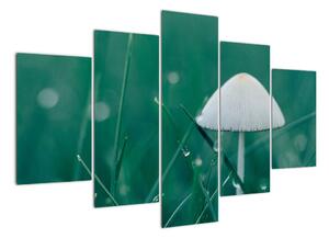 Obraz houby v trávě (150x105cm)
