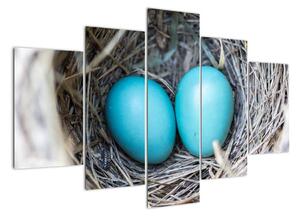 Obraz modrých vajíček v hnízdě (150x105cm)