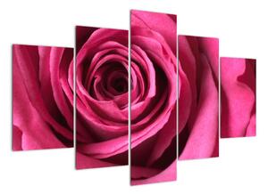 Obraz růžové růže (150x105cm)