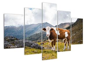 Obraz krávy na louce (150x105cm)