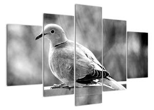 Černobílý obraz ptáka (150x105cm)
