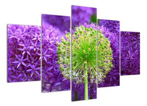 Obraz rostlin (150x105cm)