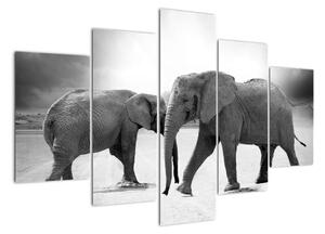 Obraz - sloni (150x105cm)